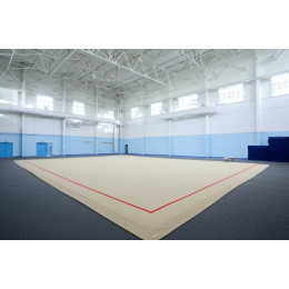 Тренировочный ковер 12х12м (материал Россия)